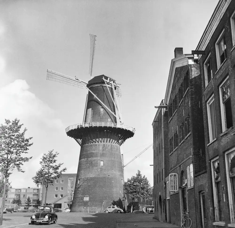 Historische molen De Noord in Schiedam